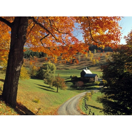 Fall Foliage, Vermont, USA Print Wall Art By Gavin