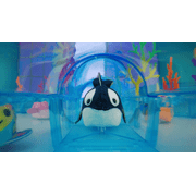 ZhuZhu Aquarium Motorized Fish Toy – Flip the Orca - No Water, No Mess, All Fun