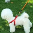 thumbnail image 5 of Dog Leash Long Lead Training Tracking Line Comfortable Handle Heavy Duty Puppy Rope for Small Medium Large Dog, 5 of 5
