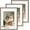 16x20 - 3P, variant on 16x20 Premium Oak Wood Picture Frame with Tempered Glass - Walnut Color 3 Pack for Wall Art & Photos