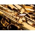 thumbnail image 5 of Saxofón Alto Glory Gold Laquer E Flat con 11 cañas, 8 almohadillas, cojines, estuche y kit de cuidado, 5 of 5