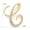 Gold-C, variant on A-Z Initial 26 Letter Brooch Pins 18k Gold Plated Cubic Zirconia Breastpin Name Personalized Gifts for Women Men