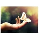 thumbnail image 2 of 1set Crystal/Rhinestone/ Picture Butterfly in Hand Soledad Bordado de la pintura del diamante, 2 of 10