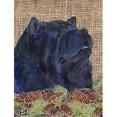thumbnail image 1 of Carolines Treasures SS4090GF 11 x 15 In. Chow Chow Flag- Garden Size, 1 of 3