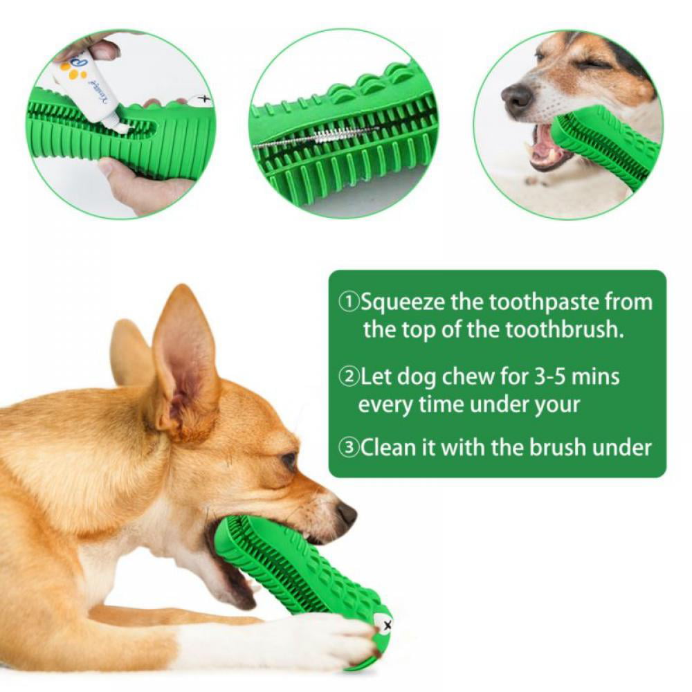 Chewy Croc ™ - Durable Chewing Toy