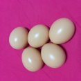 thumbnail image 4 of FONDOTIN 60 Pcs Simulation Eggs and for Art Projects, Crafts, and Educational Use, 4 of 7