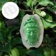 thumbnail image 5 of Molde reutilizable para frutas de ginseng, molde transparente para frutas pequeñas, molde para frutas de crecimiento pequeño, 5 of 7