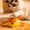 Yellow_Base#5658, variant on Interactive Pet Food Dispenser Toy for Cats and Dogs – Slow Feeder with Puzzle Design for Mental Stimulation and Healthy Eating