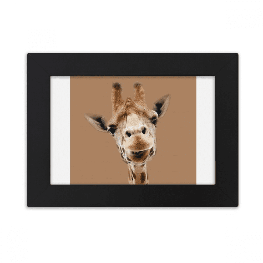 Giraffe Camera Observation Action Desktop Photo Frame Ornaments Picture