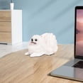 thumbnail image 6 of Twinkseal Stable Pet Figurine Simulation Pomeranian Dog Model Realistic Look Crafts Ornament Solid Plastic Pet Figurine for Home Office Car Cabinet Decoration, 6 of 8