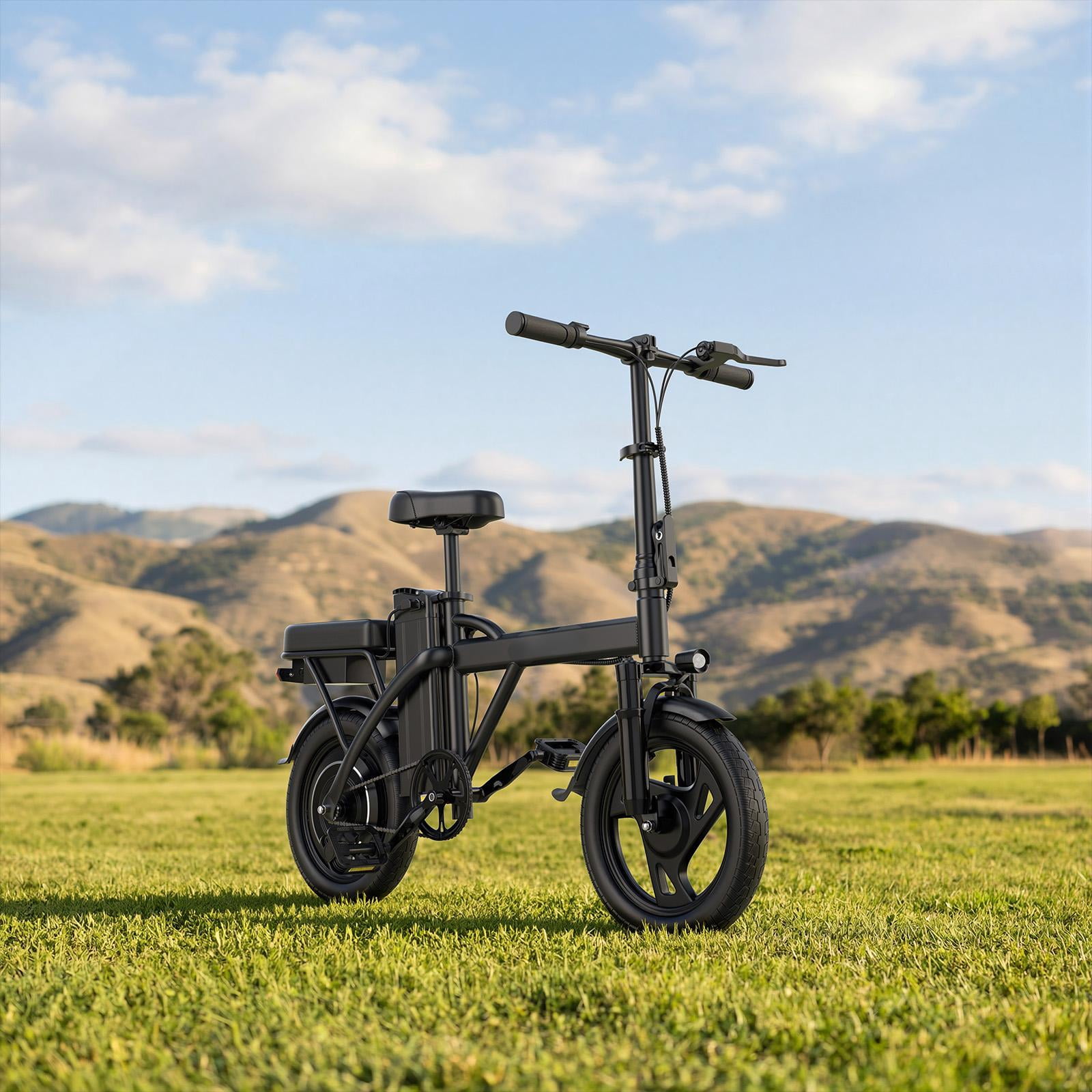 Electric Bike Black 500W 48V, 14' Mini Ebike for City Commuter, 20MPH Class 2 Folding Electric Bicycle for Adult with Two Seats UL2849