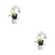 thumbnail image 2 of Injueey Flores artificiales blancas para mascotas, amigables y no tóxicas, de apariencia realista, para amantes, decoración del hogar, amplia BF1912010 (377 g), BF1912010 (377 g) 2Conjunto, 2 of 6