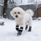 thumbnail image 1 of Calcetines impermeables antideslizantes para perro Pack de 4 – Suela ajustable con correa, botines antideslizantes para interiores y exteriores, poliéster transpirable, marrón gris, varias tallas, 1 of 6