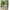 Green Sand, variant on Tropical Beach Landscape Shower Curtain Green Palm Trees Hammock Ocean Dock Weed House Hawaii Nature Scenery Fabric Polyester Bathroom Curtains with Hooks 70x70 Inch