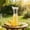 S#B, variant on JHyouerji Plastic Pitcher with Lid Clear Acrylic Refrigerator Safe Pitcher Unbreakable Juice Containers with Lids for Water Milk Cold Drinks