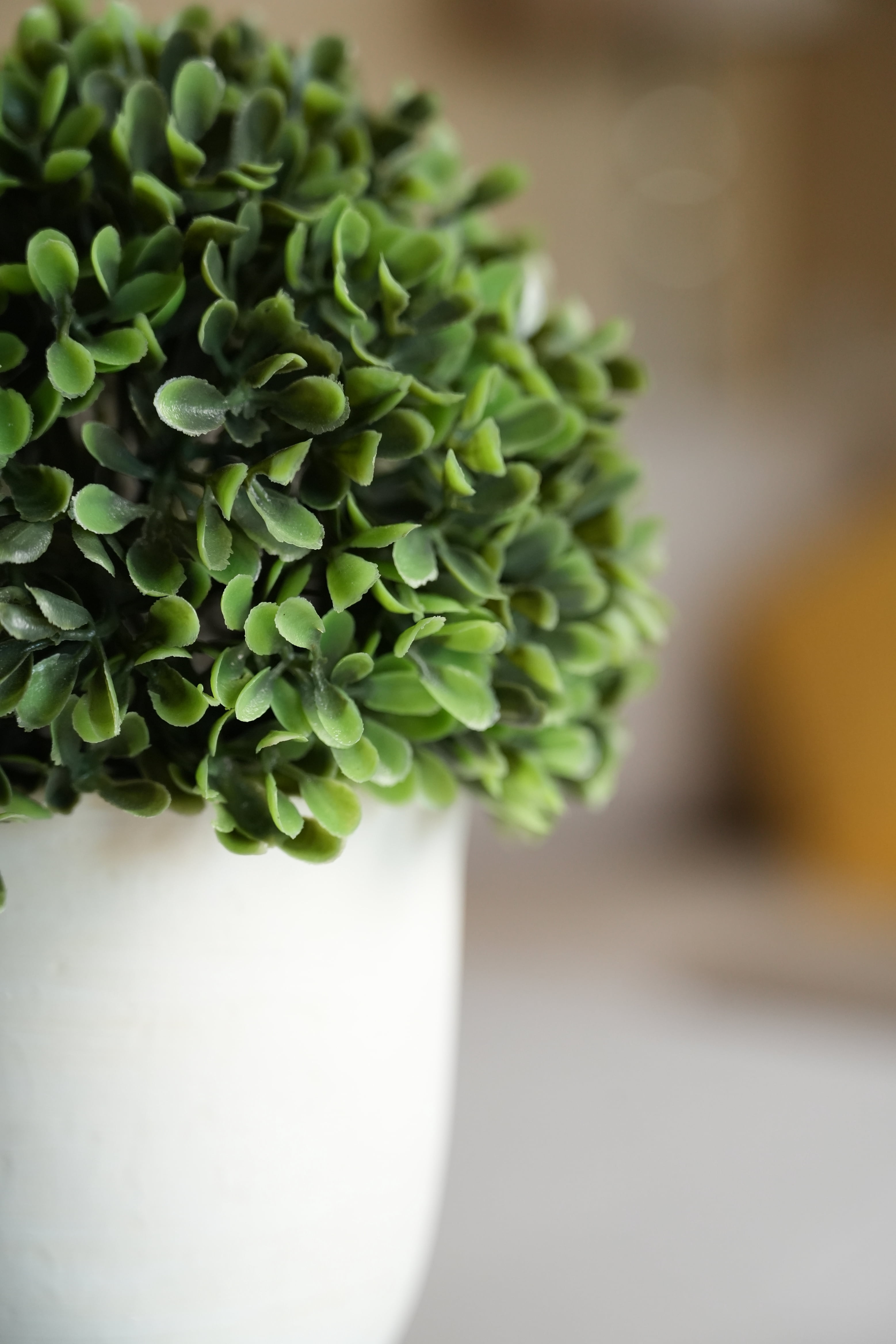 Better Homes & Gardens 9” Artificial Boxwood Tree in White Ceramic Pot for Tabletops- 1 lbs