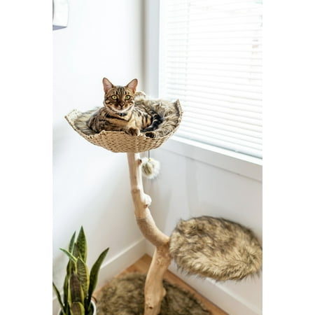 UPC: 0850006400584 | Mau Lifestyle Uni Cat Tree Durable Brown