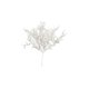thumbnail image 1 of Decoraciones Del Árbol de Navidad Materiales de Decoración Del Árbol de Navidad, Flores Confitadas, Ramos de Flores Secas, Ramos de Simulación Del Hogar, Mesa de Comedor Del Salón, Decoración de Flore, 1 of 6
