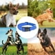 thumbnail image 5 of Dinheiro Collar para perros, collar básico avanzado para perros pequeños, medianos y grandes, tejido con cinta ajustable,, 5 of 5