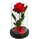 thumbnail image 3 of Regalos de flores de rosas para mamá, regalos de cumpleaños para esposa, regalos del día de la madre de rosas para futuras mamás, regalos de flores de rosas artificiales en cúpula de cristal, regalos del día de San Valentín para ella, regalos pensados ​​para el día de la madre a las madres Sincero Electrónica, 3 of 5
