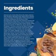 thumbnail image 3 of BLUE Life Protection Formula Large Breed Adult Lamb & Brown Rice Dry Dog Food 10kg, 3 of 9