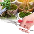 thumbnail image 3 of Stainless Steel Pruning Shears Durable Garden Scissors with Locking Mechanism, 3 of 8