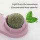 thumbnail image 2 of Juguete de limpieza de plástico para gatos, bola de energía de hierba gatera segura para suministros de salud para mascotas (rosa) Likrtyny Para estrenar, 2 of 3