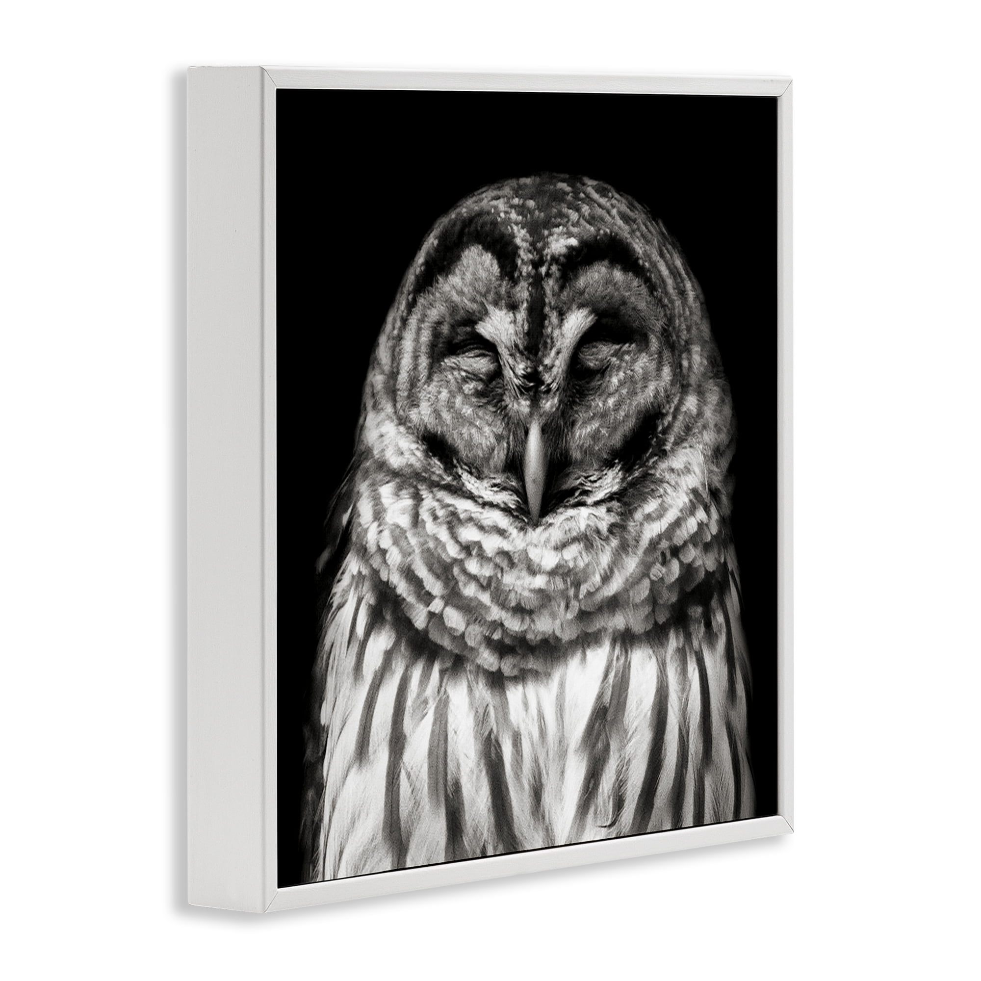 Stupell Industries Sleeping Owl Portrait Animals & Insects Photography White Framed Art Print Wall Art, 24 x 24