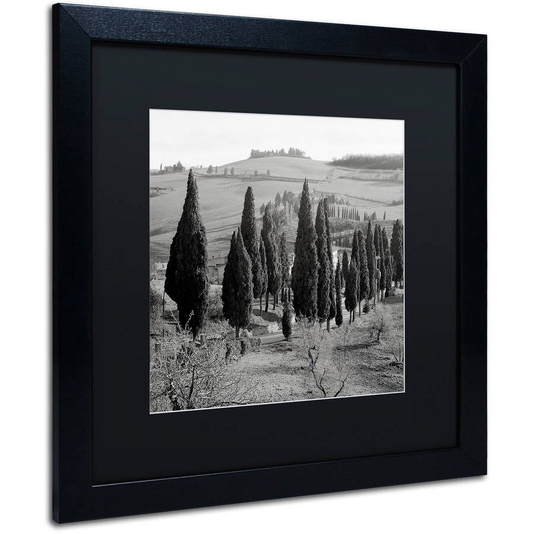 Trademark Fine Art "Tuscany IV" Canvas Art by Alan Blaustein, Black Matte, Black Frame