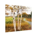thumbnail image 2 of Willow Way Studios Inc 'Birches' Wood Slat Art 18x22, 2 of 5