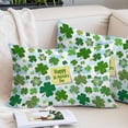 thumbnail image 2 of St. Patrick's Day Pillow Covers 16"x24", Spring Lucky Green Shamrock Cloud Blue Soft Brushed Microfiber Breathable Throw Pillow Covers, Decorative Pillowcase with Zipper for Couch Sofa Bedroom, 2 of 9
