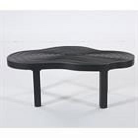 Demi Bonn 45" Coffee Table, Modern Irregular Center Table with Thick Tabletop for Home Living Room, Office, Black