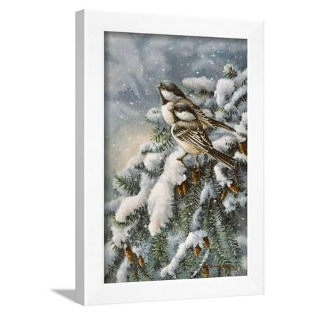 - Chickadee in Spruce Framed Print Wall Art By Wanda Mumm