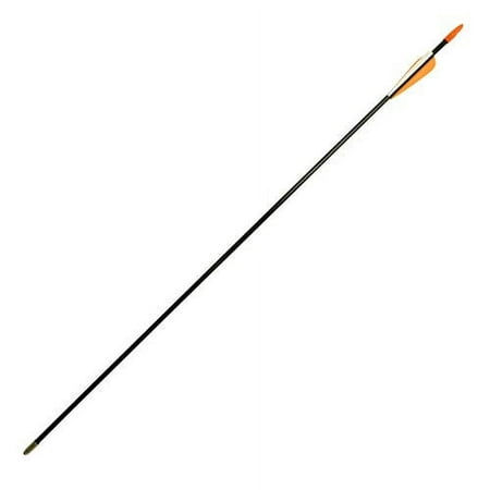 SAS Fiberglass Archery Arrow 28 with 3 Vanes + Coat Head + Plug Nock for Youth Target Practice Recurve Compound Bow Shooting Recreation Kid Range
