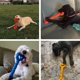thumbnail image 5 of Juguetes para masticar para perros Goma duradera 32 * 12 cm Cachorros de juguete para perros con forma de hueso con diseño convexo Juguete interactivo fuerte para perros para masticadores agresivos, 5 of 5