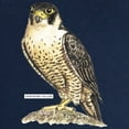 thumbnail image 3 of CafePress - Peregrine Falcon Bird Maternity Dark T Shirt - Maternity Dark T-Shirt, 3 of 4