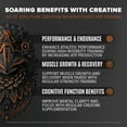 thumbnail image 4 of Proteína en polvo Birdman Falcon Performance Vegan 1,1 kg, 4 of 7