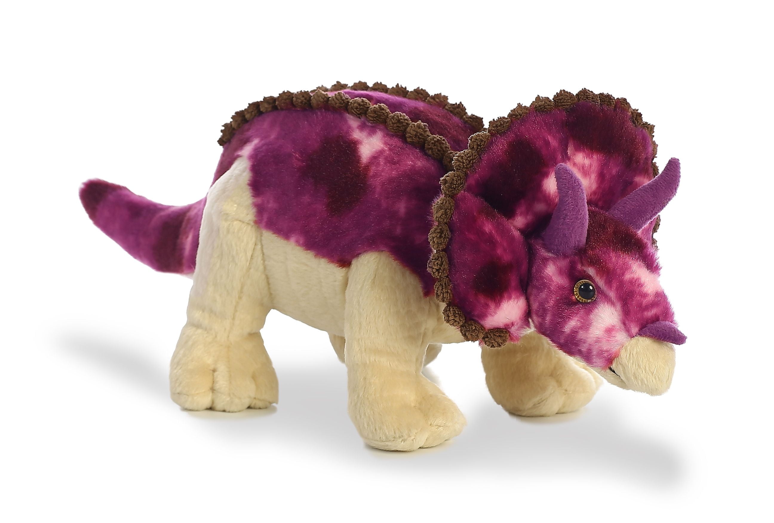 Aurora Dinosaur - 14