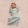 thumbnail image 3 of Love to Dream Swaddle UP Transition Baby Sleep Bag 1.0 TOG, Zip-Off Wings, Large 19-24 lbs, Olive Moon, 3 of 9