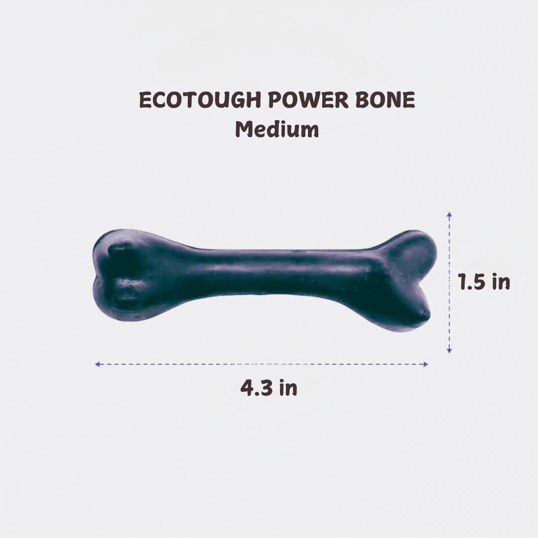 Hevea Pet Natural Rubber Non Toxic EcoTough Power Bone Dog Toy