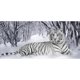 thumbnail image 2 of Cuadros Decorativos 5D bricolaje completo taladro diamante pintura tigre Cruz puntada bordado mosaico Kit Ndcxsfigh  Nuevos Originales, 2 of 7