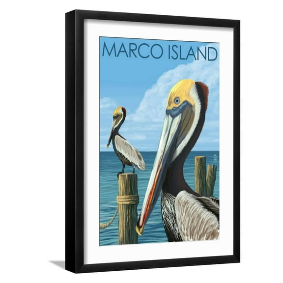 Art.com Marco Island - Pelicans Art Print by Lantern Press, Black Frame Wall Art, 17" x 23"