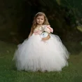 thumbnail image 5 of Vestido de tul con encaje de un hombro para niña, vestido de princesa para fiesta de boda, color beige, lila y rosa ruborizado, 5 of 5