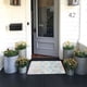 thumbnail image 5 of Teissuly Soft Rugs Anti-Skid Area Rug Dining Room Home Bedroom Carpet Floor Rug Teissuly WER202312021826, 5 of 7