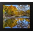 thumbnail image 2 of Fitzharris, Tim 22x20 Black Modern Framed Museum Art Print Titled - Verde River near Camp Verde-Arizona-USA, 2 of 5