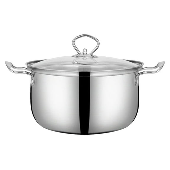 WRITWAA Stainless Steel Large Cooking Pot with Lid, , Family Kitchen Cookware for Home and Gatherings