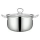 thumbnail image 1 of GOOHOCHY Olla de acero inoxidable, olla Shabu con tapa, utensilios de cocina, olla de cocina, utensilios de cocina, olla de acero inoxidable, 1 of 8