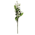 thumbnail image 4 of 5PCS Bayas artificiales Tallos de bayas artificiales Decoración para sala de estar Oficina Blanco, 4 of 10
