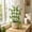 Green_Base#844, variant on Plastic Climbing Plant Support Frame Flower Stand for Monstera Orchid and Small Tomato Vines with Leaf Guard for Potted Indoor and Outdoor Plants