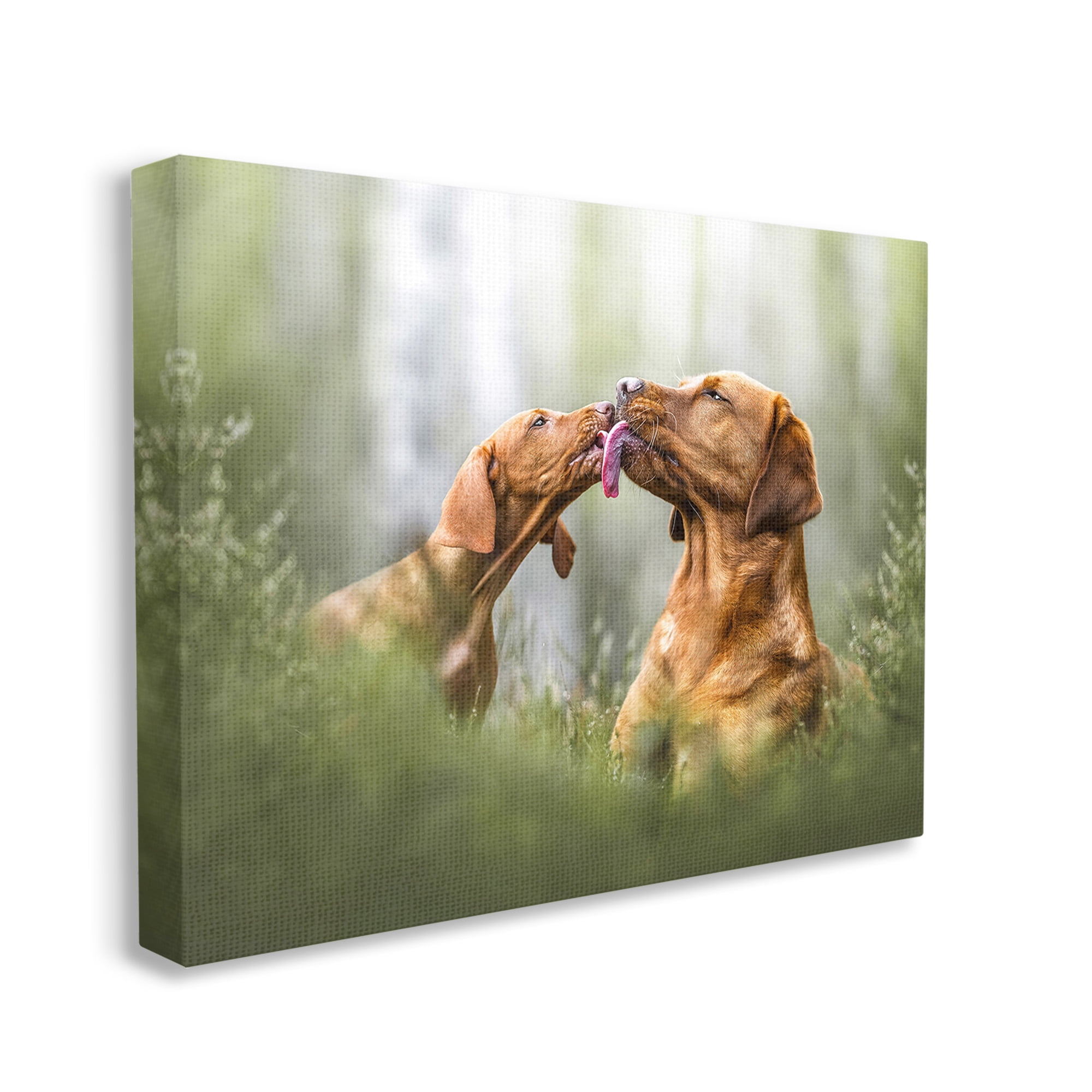 Stupell Industries Playing Puppies in Grass Animals & Insects Painting Gallery Wrapped Canvas Art Print Wall Art, 40 x 30